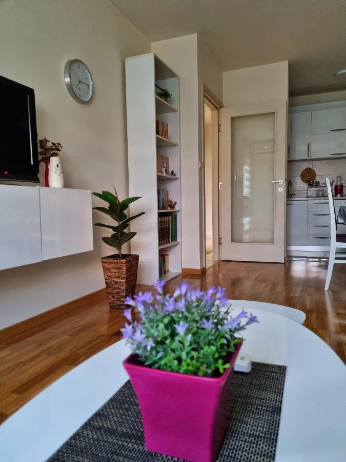 Riverside Apartment 波德戈里察 外观 照片