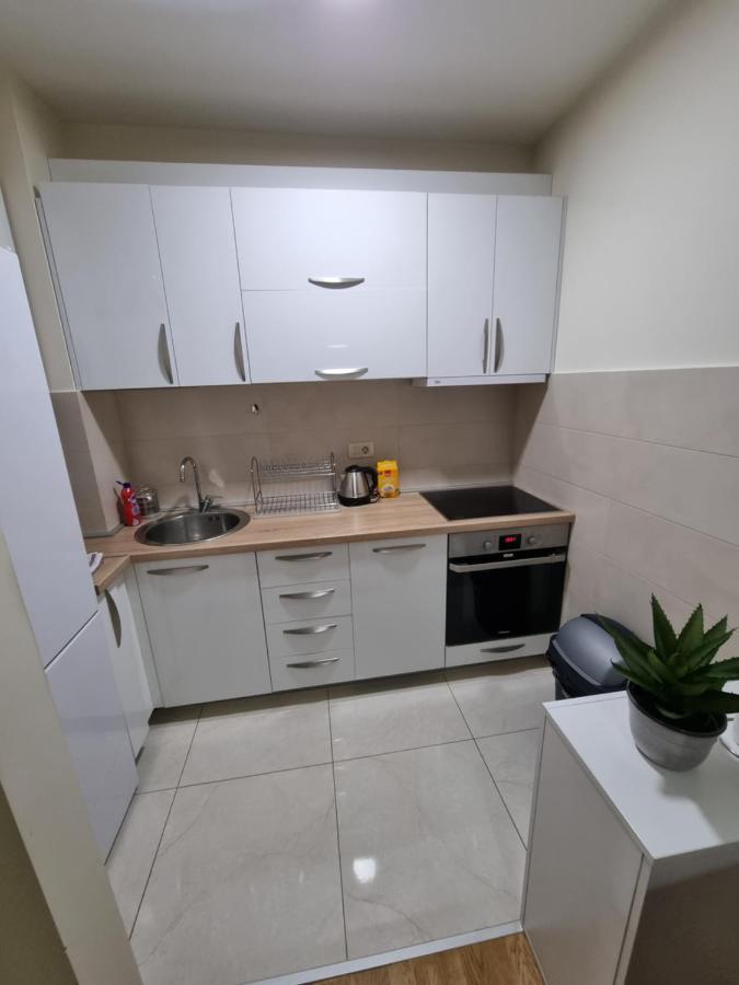 Riverside Apartment 波德戈里察 外观 照片
